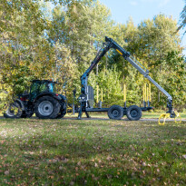 Forest crane PALMS 7.87