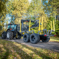 Forest crane PALMS 7.87