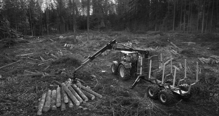 Kuidas valida metsatõstukit?